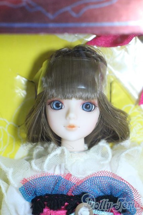 画像1: J-Doll/Petit Champlain(プチ・シャンプラン) Y-25-11-19-001-YD-ZY (1)
