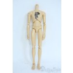 画像: テヤン/ボディのみ Y-25-09-24-147-YD-ZY