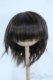 画像1: 9-10inch/ウィッグ Y-25-09-24-139-YD-ZY (1)
