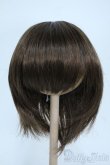 画像1: 9-10inch/ウィッグ Y-25-09-24-140-YD-ZY (1)