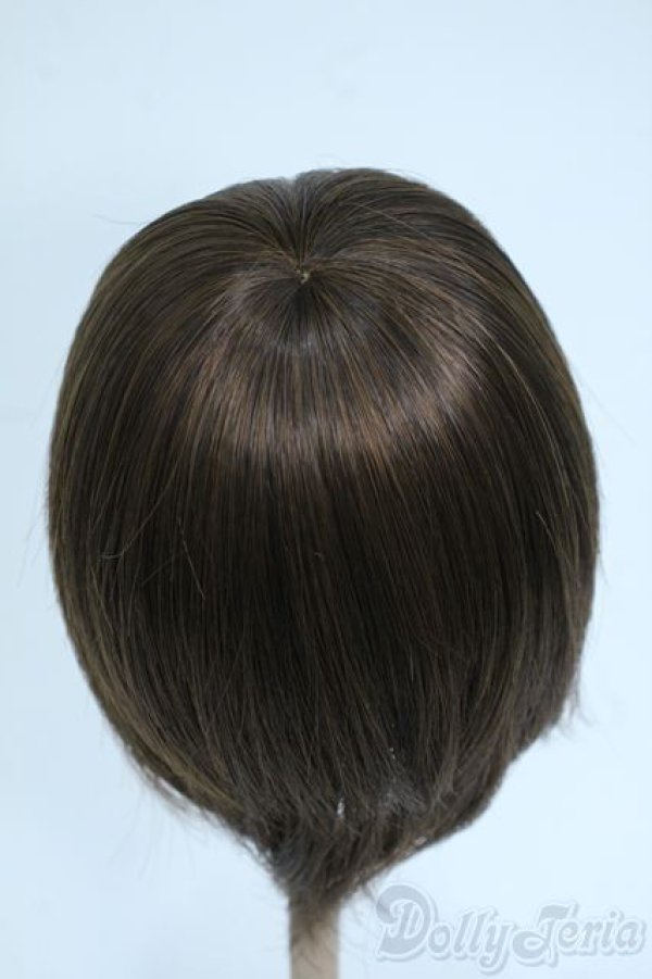 画像2: 9-10inch/ウィッグ Y-25-09-24-140-YD-ZY (2)