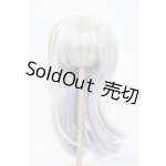 画像: 9inch/みさんとるーぷ様製ウィッグ Y-25-09-24-164-YD-ZY
