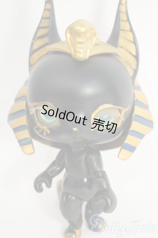 画像1: BLACK BOX/Anubis Y-26-02-11-295-YD-ZY (1)