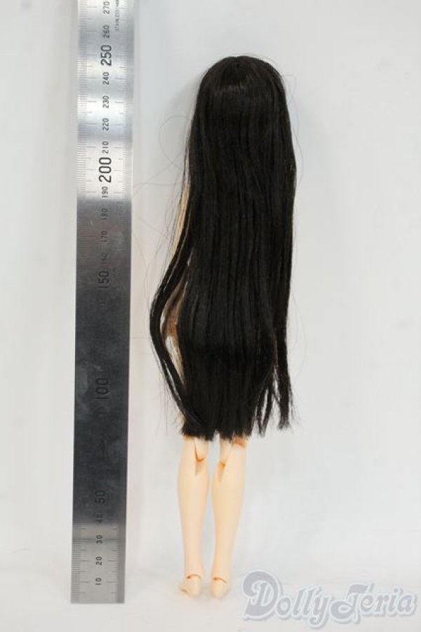 画像3: azone/えっくす☆きゅーとふぁみりー Minami(みなみ)/Loyal Maid(アゾンダイレクトストア販売ver.) Y-25-12-24-041-YD-ZY (3)