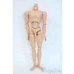 画像: オビツ27/男性ボディ Y-25-10-01-048-YD-ZY