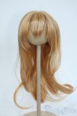 画像1: 8-9inch/ウィッグ Y-25-10-01-070-NY-ZY (1)
