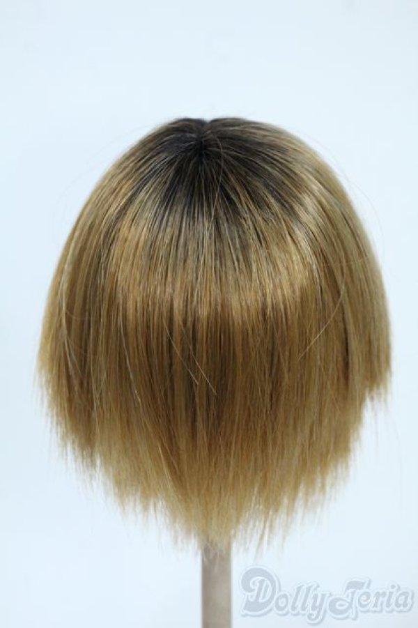 画像2: 9-10inch/ウィッグ Y-25-10-01-149-YD-ZY (2)