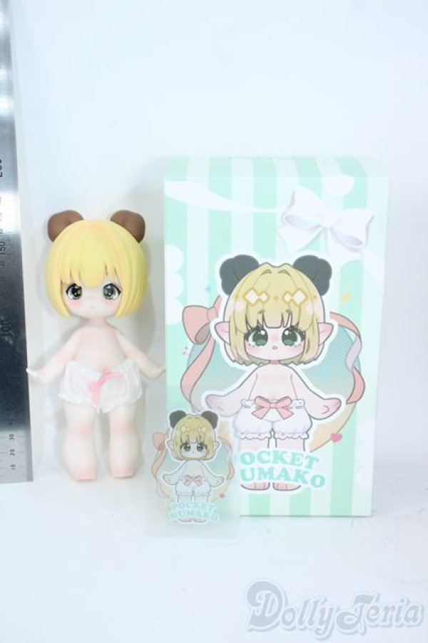 画像4: PUYOO DOLL/POCKET KUMAKO Y-25-10-01-124-YD-ZY (4)