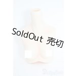 画像: angelphilia/外皮ボディパーツ:上胴 Type-F Y-25-10-08-020-YD-ZY