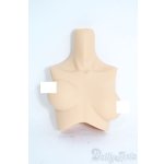 画像: angelphilia/外皮ボディパーツ：上胴　Type-C6 Y-25-10-08-023-TN-ZY