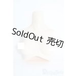 画像: angelphilia/外皮ボディパーツ:上胴 Type-C5 Y-25-10-08-022-TN-ZY