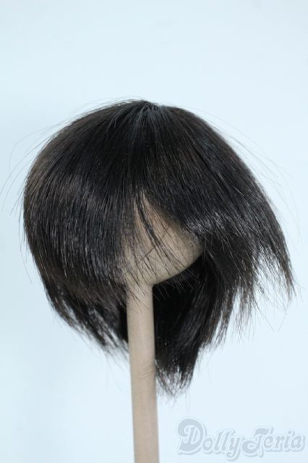 画像1: 8inch/ウィッグ Y-25-10-08-076-YD-ZY (1)