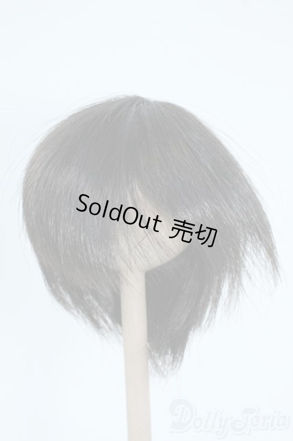 画像1: 8inch/ウィッグ Y-25-10-08-076-YD-ZY (1)