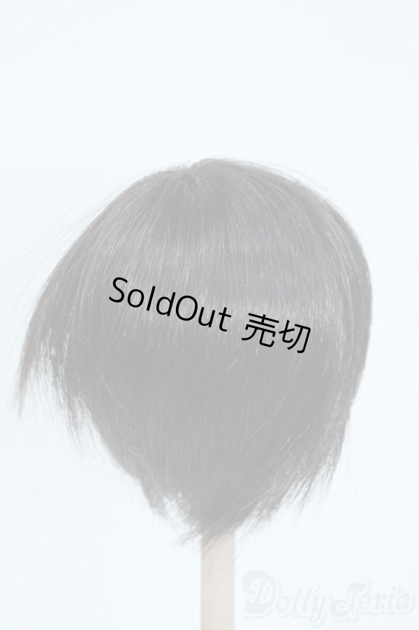 画像2: 8inch/ウィッグ Y-25-10-08-076-YD-ZY (2)