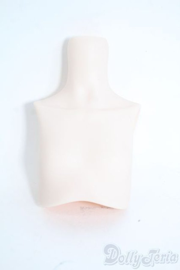 画像1: MDD/上半身パーツ Y-25-10-15-042-YD-ZY (1)