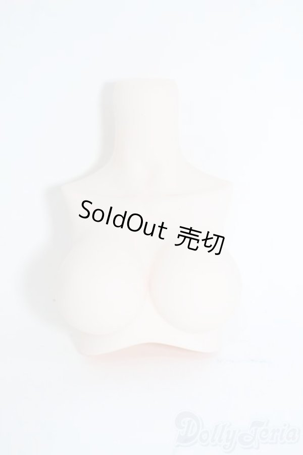 画像1: MDD/上半身パーツ Y-25-10-15-041-YD-ZY (1)