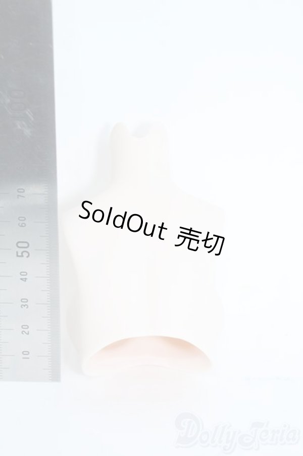 画像2: MDD/上半身パーツ Y-25-10-15-041-YD-ZY (2)