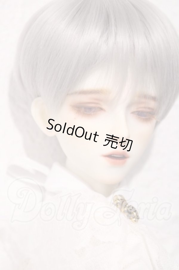 画像3: LUTS/Senior65 Delf Boy Body A-26-07-01-1093-TN-ZU (3)