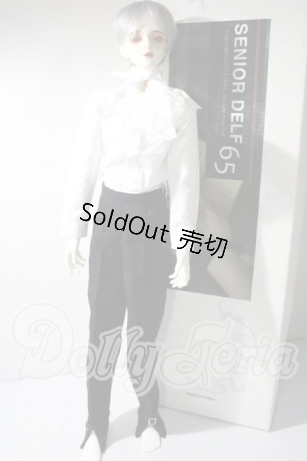 画像5: LUTS/Senior65 Delf Boy Body A-26-07-01-1093-TN-ZU (5)
