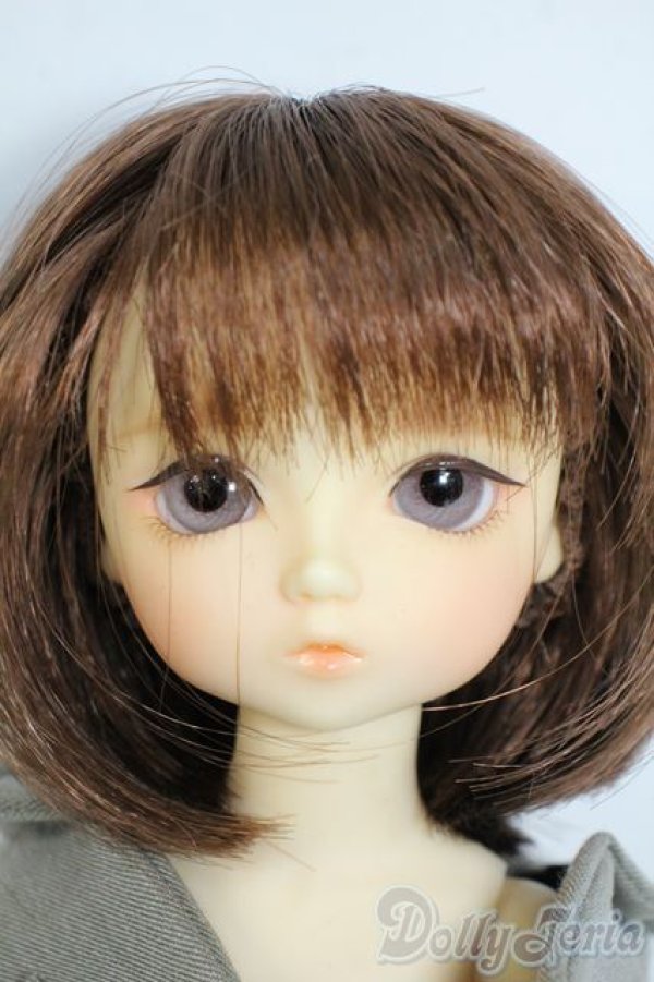 画像1: 幼SD/翔 SDオーナーズ感謝祭・夢のテーマパークホテルin東京2009 Y-25-10-15-059-YD-ZY (1)