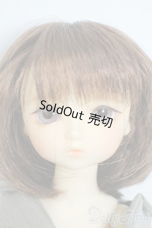 画像1: 幼SD/翔 SDオーナーズ感謝祭・夢のテーマパークホテルin東京2009 Y-25-10-15-059-YD-ZY (1)