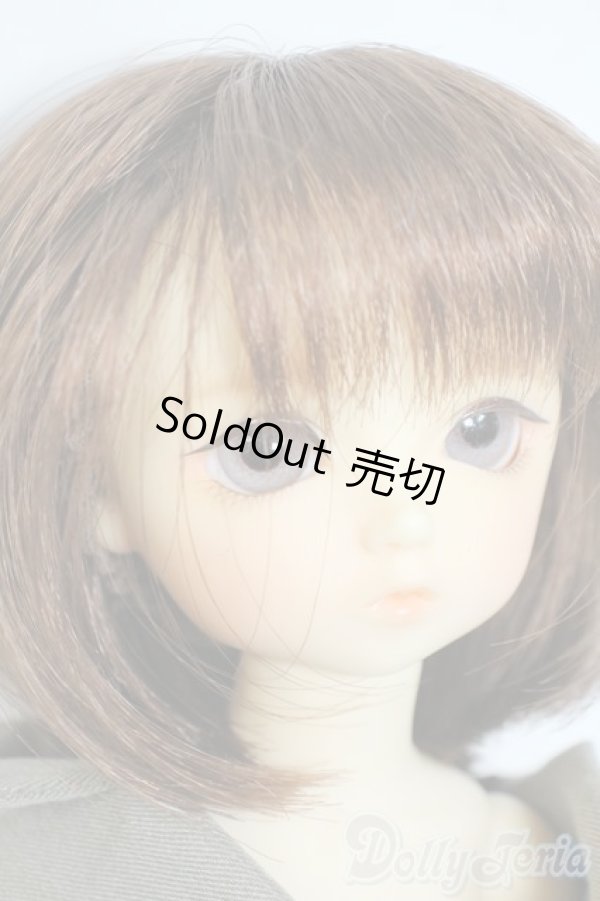 画像2: 幼SD/翔 SDオーナーズ感謝祭・夢のテーマパークホテルin東京2009 Y-25-10-15-059-YD-ZY (2)