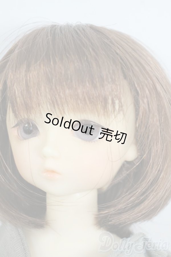 画像3: 幼SD/翔 SDオーナーズ感謝祭・夢のテーマパークホテルin東京2009 Y-25-10-15-059-YD-ZY (3)