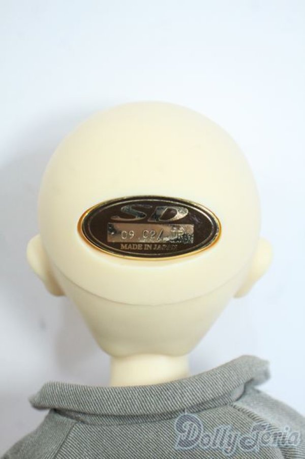 画像5: 幼SD/翔 SDオーナーズ感謝祭・夢のテーマパークホテルin東京2009 Y-25-10-15-059-YD-ZY (5)