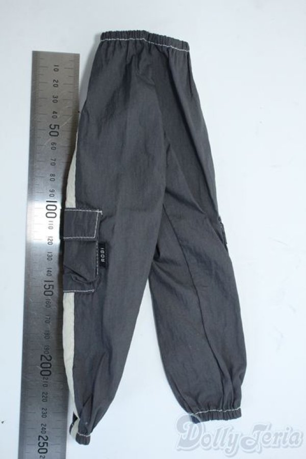 画像2: SDM＆MSD/OF:パンツ Y-25-10-15-119-YD-ZY (2)