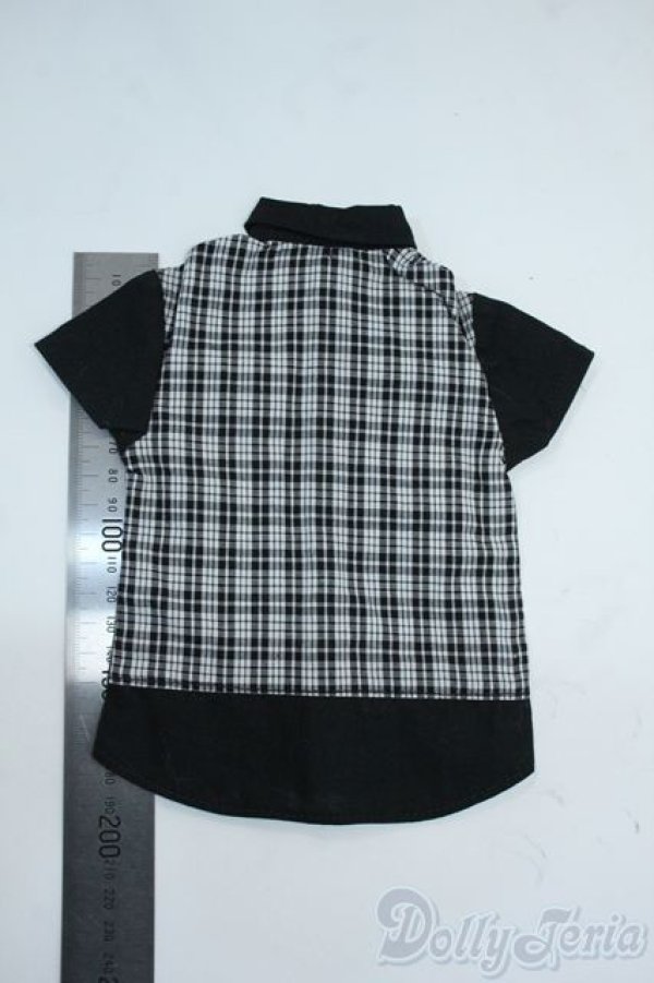 画像2: SD/OF:トップス Y-25-10-15-134-YD-ZY (2)