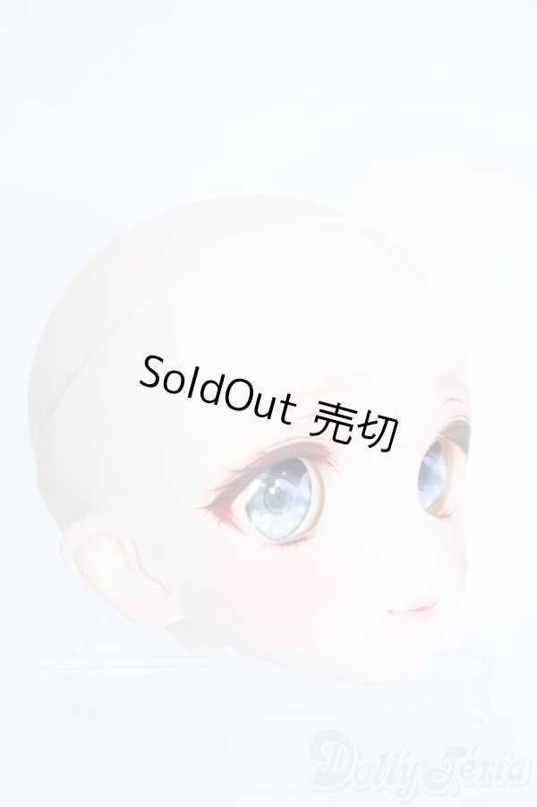 画像2: DD/DDH-06カスタムヘッド Y-25-10-15-063-YD-ZY (2)