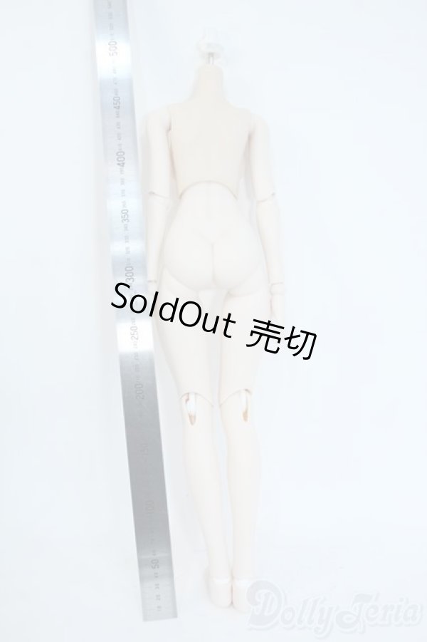 画像2: DDS/ベースボディ（DD-f3） Y-25-10-15-064-YD-ZY (2)