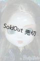 画像: プーリップ/クラツィーア Y-25-11-05-012-YD-ZY