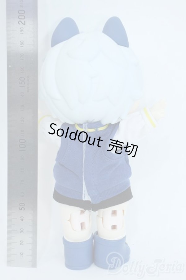 画像3: HANI /Sweet Dreams　：プリン柴犬 Y-25-11-19-110-YD-ZY (3)