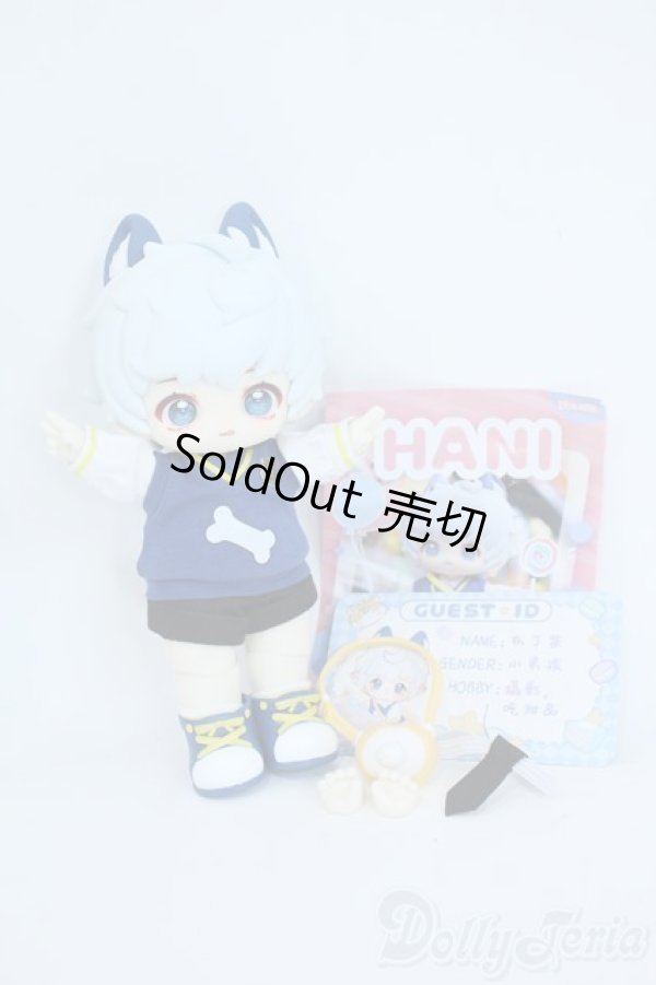 画像4: HANI /Sweet Dreams　：プリン柴犬 Y-25-11-19-110-YD-ZY (4)