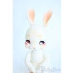 画像: cocoriang/tobi Y-25-11-19-009-YD-ZY