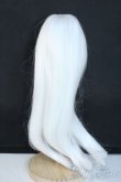 画像2: 8-9inch/ウィッグ Y-25-11-12-119-YD-ZY (2)