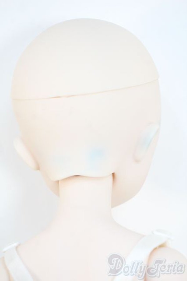 画像9: MDD/Koume Y-25-11-12-003-YD-ZY (9)