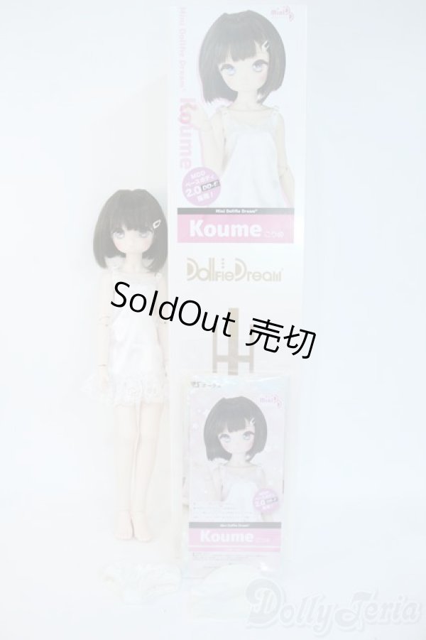 画像10: MDD/Koume Y-25-11-12-003-YD-ZY (10)