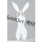 画像: DD/OF:衣装セット Y-25-11-12-044-YD-ZY