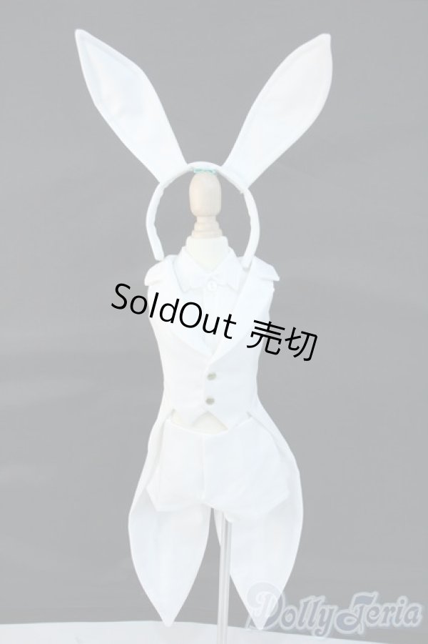 画像1: DD/OF:衣装セット Y-25-11-12-044-YD-ZY (1)