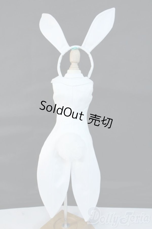 画像3: DD/OF:衣装セット Y-25-11-12-044-YD-ZY (3)