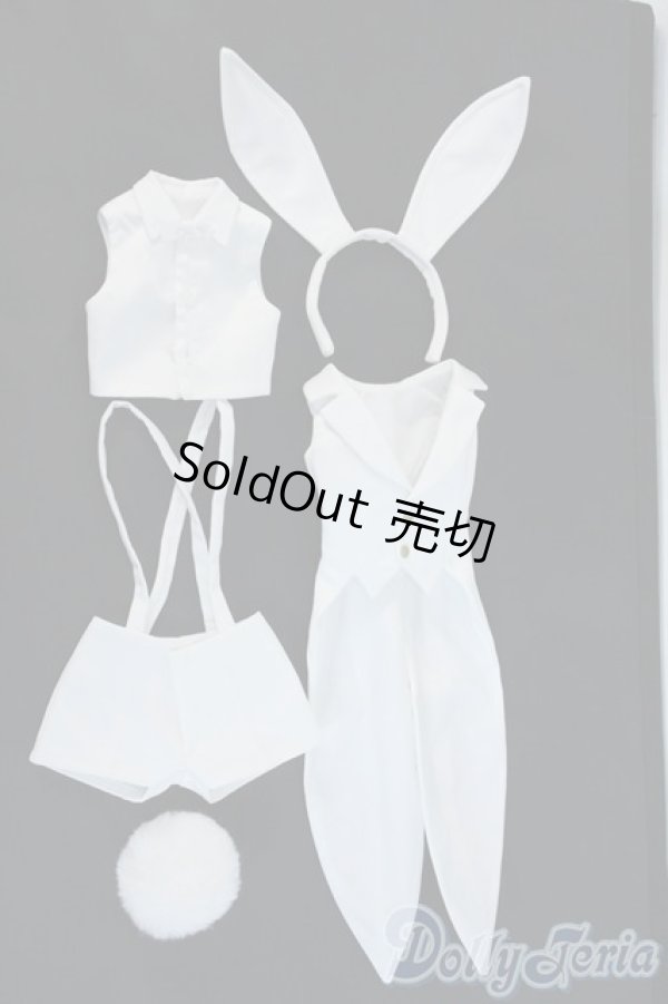 画像4: DD/OF:衣装セット Y-25-11-12-044-YD-ZY (4)