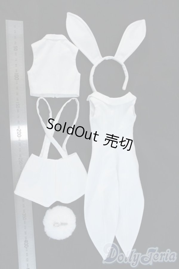 画像5: DD/OF:衣装セット Y-25-11-12-044-YD-ZY (5)