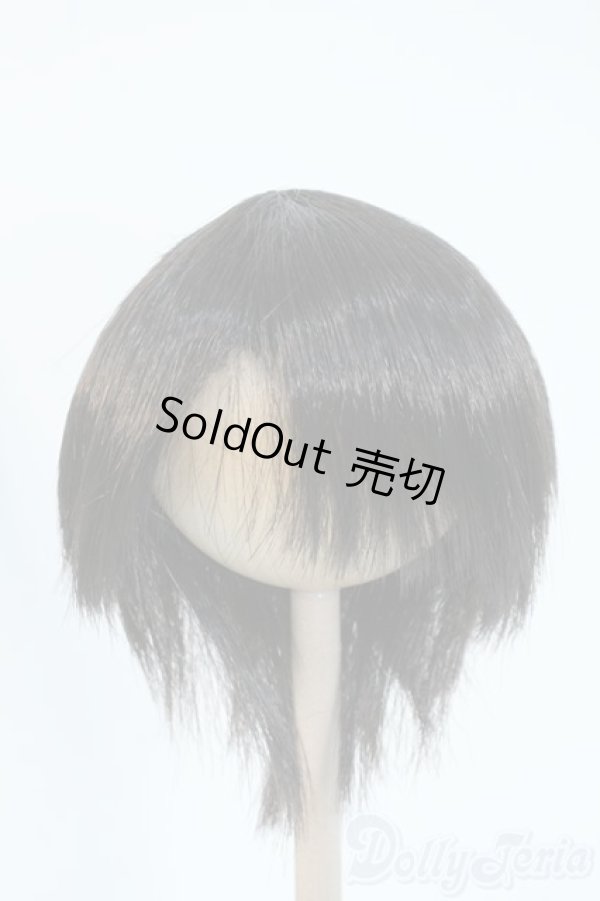 画像1: 8-9inch/ウィッグ Y-25-11-12-116-YD-ZY (1)