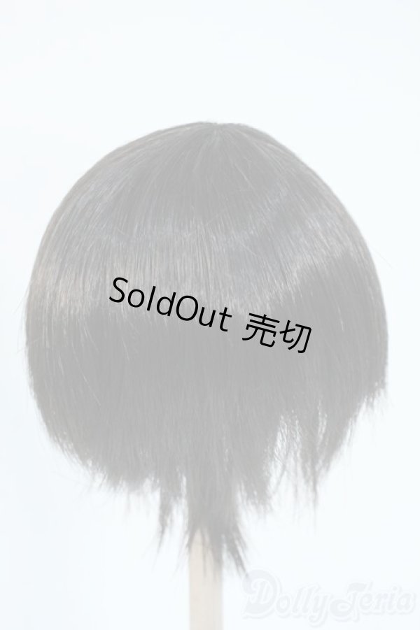 画像2: 8-9inch/ウィッグ Y-25-11-12-116-YD-ZY (2)