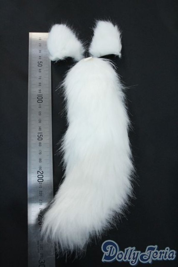 画像2: MDD/OF:小物 Y-25-11-12-035-YD-ZY (2)