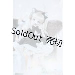 画像: MDD/OF:のんのんシマリス　木茶動物園様製 Y-25-11-05-185-YD-ZY