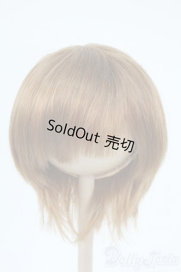 画像1: 8-9inch/ウィッグ Y-25-11-05-190-YD-ZY (1)