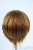 画像2: 8-9inch/ウィッグ Y-25-11-05-190-YD-ZY (2)
